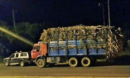 Cho qua tai xin xo khong duoc, nhan tin 'doa' tong chet thanh tra hinh anh