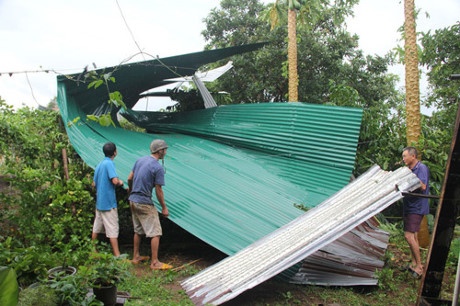 Mua da kem theo loc xoay lam toc mai hon 40 ngoi nha tai Lam Dong hinh anh