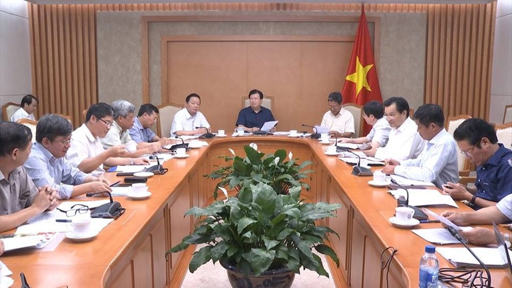 dung nhan chim 1 trieu m3 bun thai anh 1