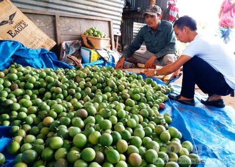 Thue giang ho 'dan mat' nguoi trong chanh day hinh anh