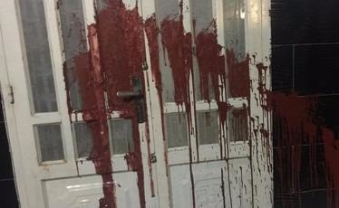 Lien tiep 'khung bo' nguoi nha con no bat ep ganh no thay hinh anh