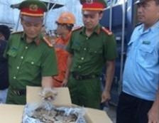 Vay te te, go huong 'doi lot' nu hoa hong va go go bong lau hinh anh