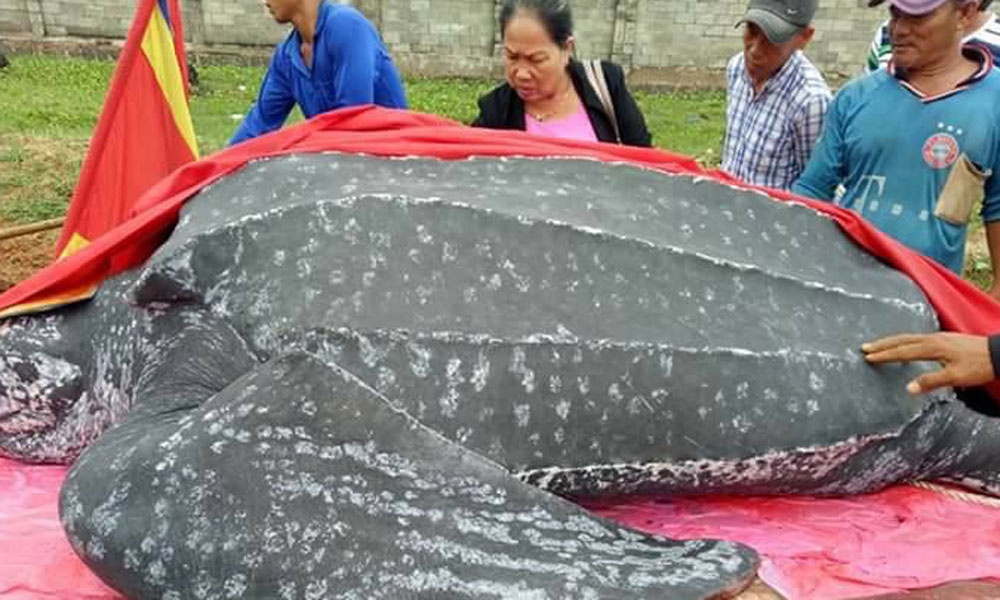 Ngu dan Mui Ne an tang rua khe quy hiem dai hon 3 m hinh anh