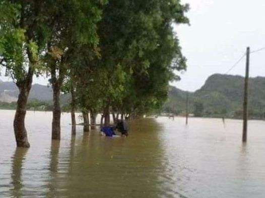 Dung cano dua com cho 700 pham nhan bi co lap do lu hinh anh