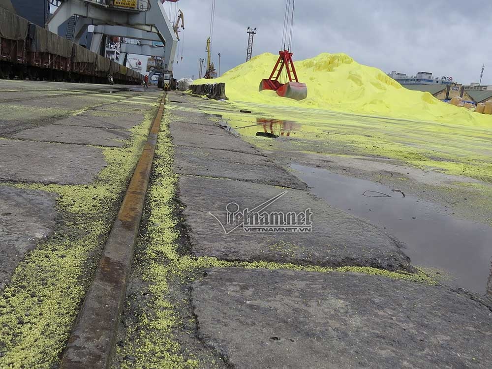 4 van tan luu huynh tai cang Hai Phong anh 4
