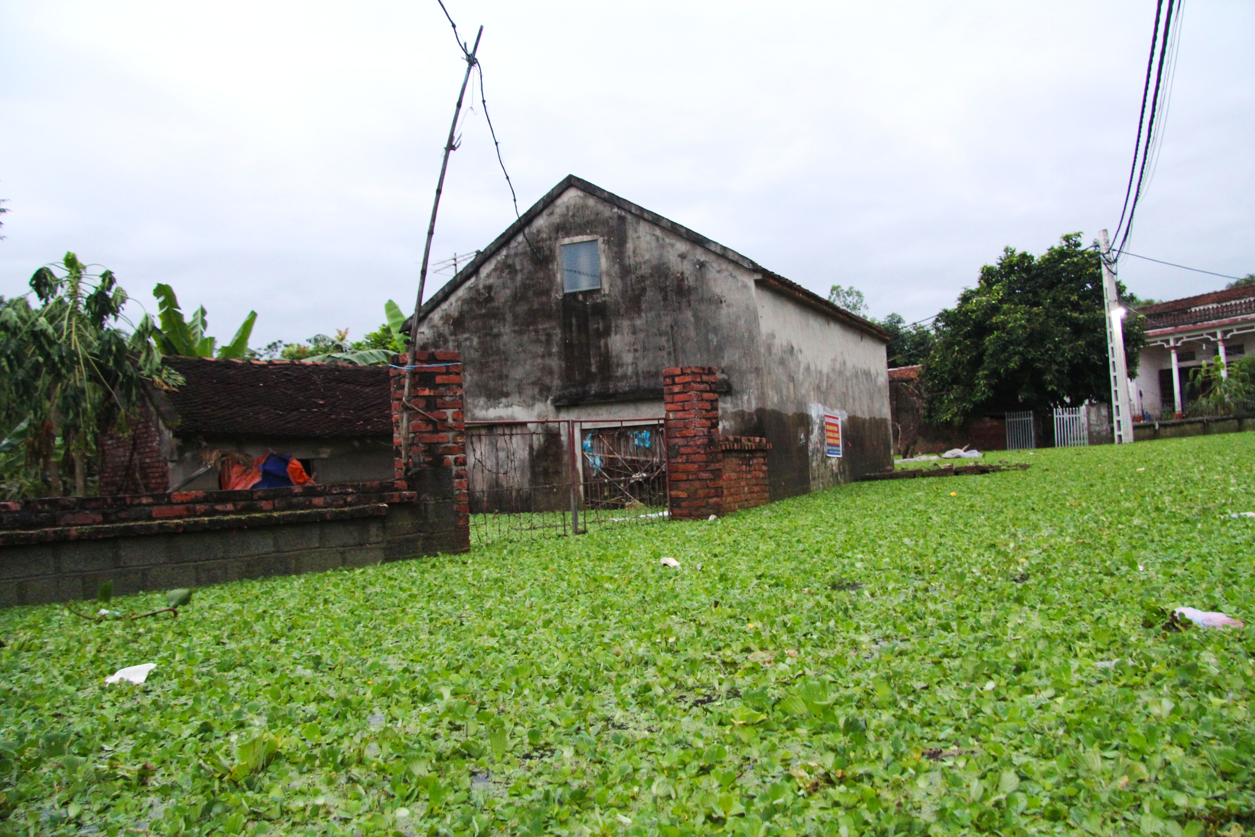 Chuong My ngap nuoc anh 3