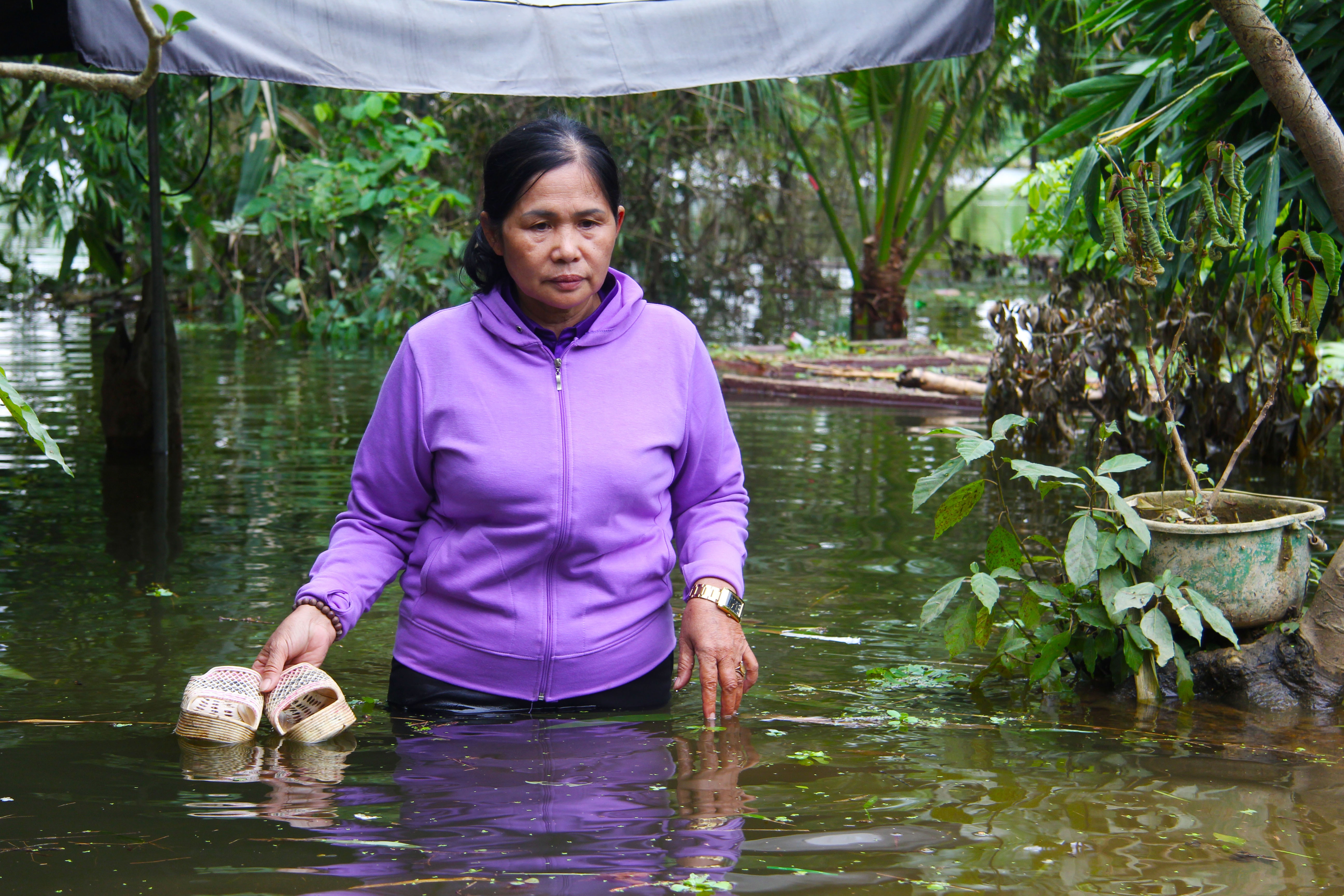 Chuong My ngap nuoc anh 4