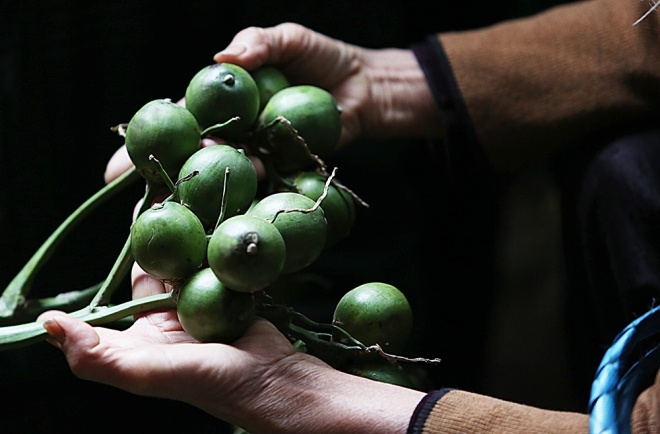 Bi hai chuyen 2 thanh nien di tu vi 'mua'… 6 buong cau hinh anh