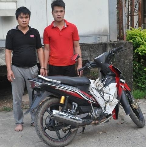 Trộm chó  ảnh 1 Trom cho anh 1