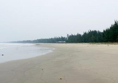 Quang Ngai lai cho phep nhan chim 62.000 m3 bun, cat thai xuong bien hinh anh