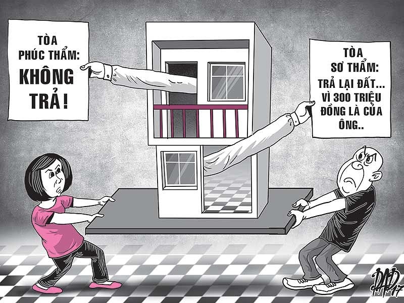 Viet kieu My chia tay ‘doi qua’ nha dat bat thanh hinh anh