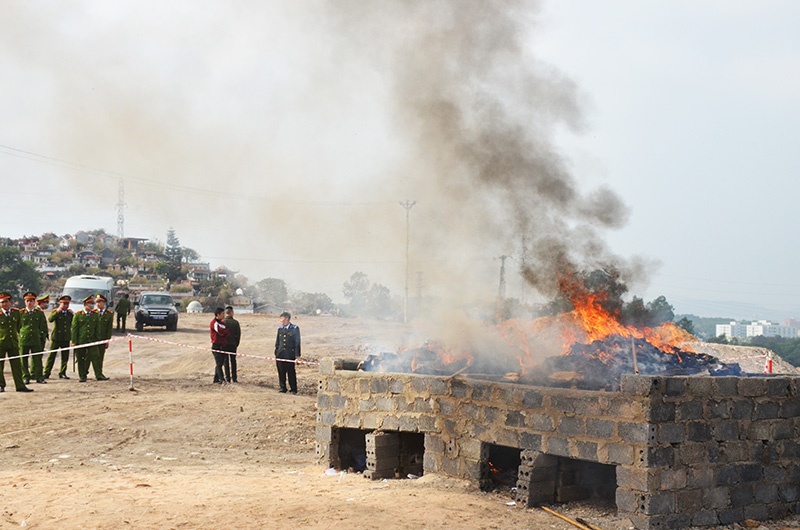 Tieu huy 260 banh heroin hinh anh