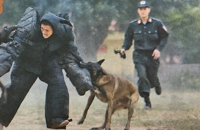 Chuyen cam dong ve nhung chu cho nghiep vu hinh anh