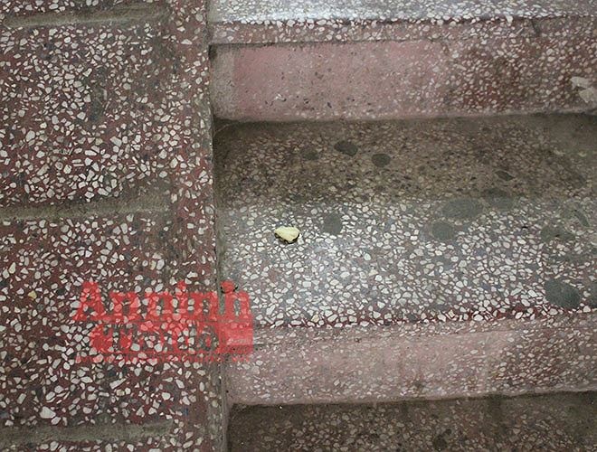 Ca si Chau Viet Cuong anh 2