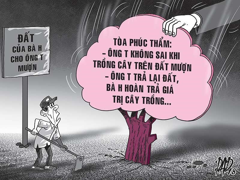 Doi ca vuon nhung duoc tra 420 cay mit hinh anh