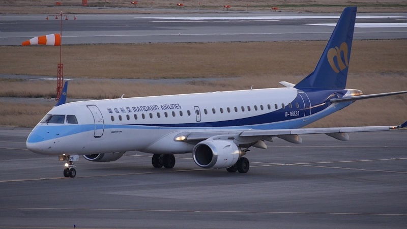 Co truong nuoc ngoai dot tu o Tan Son Nhat khi may bay sap cat canh hinh anh