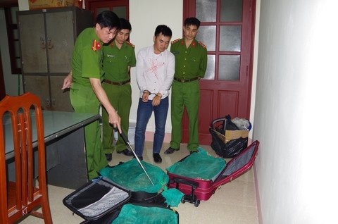 vận chuyển động vật ảnh 1 van chuyen dong vat anh 1