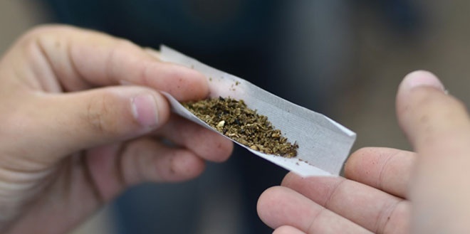 Hai nu nhan vien quan bar ban can sa Canada hinh anh