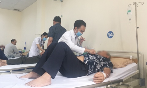 Di tia cay thue, hai vo chong bi ong dot hon 300 mui hinh anh