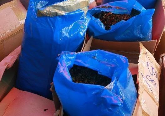 Ha Noi tieu huy gan 2,3 tan la Khat chua chat ma tuy hinh anh