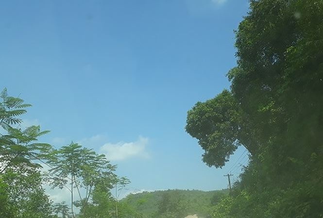 Phat hien dau chan ho gan khu dan cu hinh anh