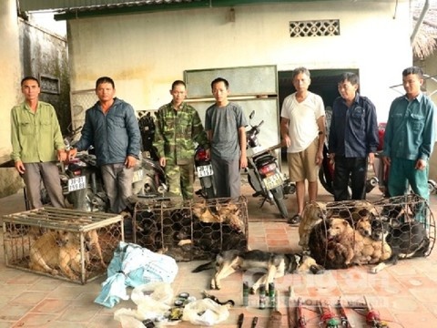 Phá băng trộm chó chuyên nghiệp ảnh 1 Pha bang trom cho chuyen nghiep anh 1