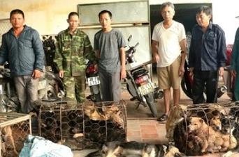 Pha bang trom cho chuyen nghiep, cuc ky manh dong hinh anh