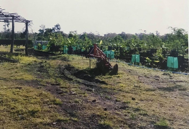 Dũng Cam bị bệnh nặng ảnh 3 Dung Cam bi benh nang anh 3