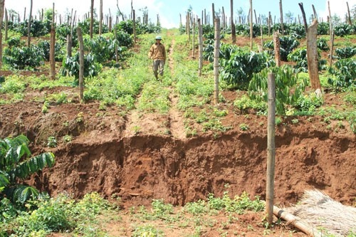 Lai sup lun gan ho bun do Nha may Alumin Nhan Co hinh anh