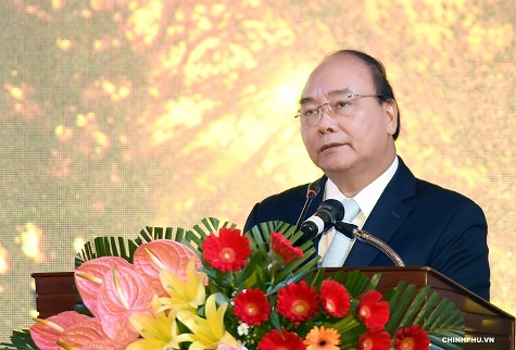 Thu tuong: Dua ‘quoc bao’ sam Ngoc Linh thanh quoc ke dan sinh hinh anh