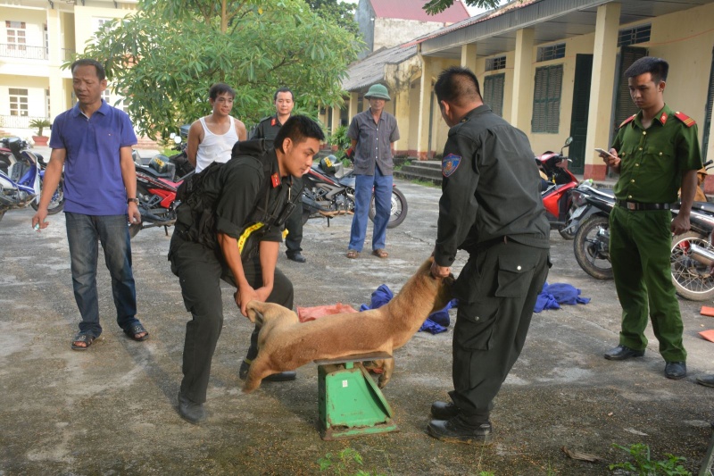 Hon mot gio truy bat 2 ke trom cho tron tren doi giua dem hinh anh