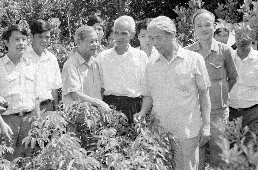 nguyen Tong Bi thu Do Muoi tu tran anh 5