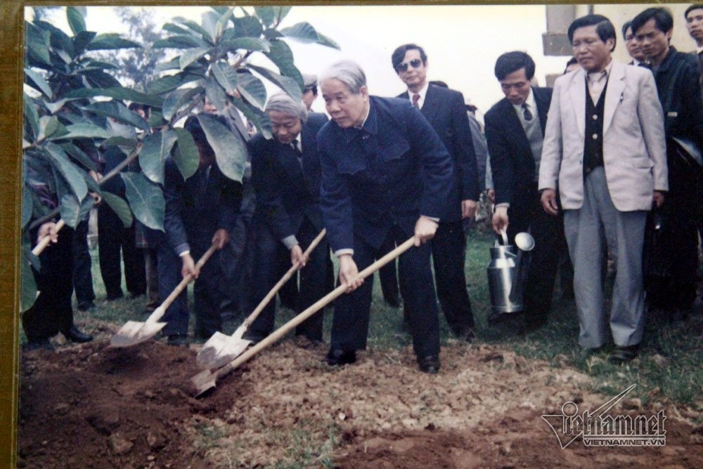 Ngoi nha don so cua nguyen Tong bi thu Do Muoi anh 4