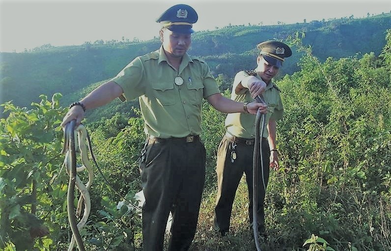 Tha 150 con ran ve moi truong tu nhien hinh anh