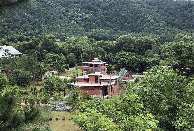 Chu tich Ha Noi: Cong khai trach nhiem vu dat rung Soc Son truoc Tet hinh anh