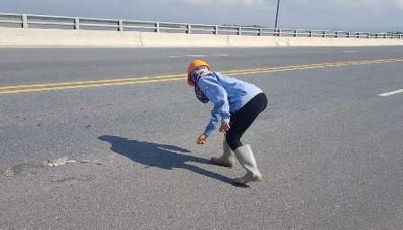 thu pham rai dinh tren cau vuot bien anh 1