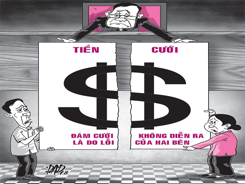 Kien dau hut doi vang vi bi huy hon hinh anh