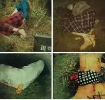 Sat thu mau lanh anh 2