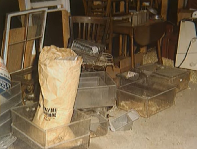 Nguoi dan ong dau doc ca nha tinh cu anh 11