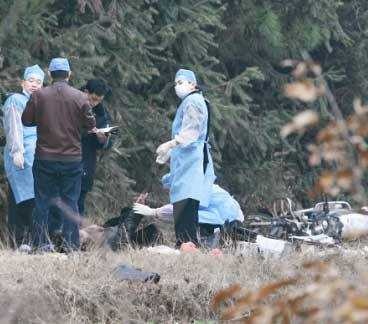 Tham an  lo voi anh 2