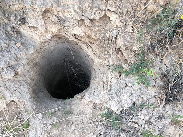 Trộm cổ vật ảnh 1 Trom co vat anh 1