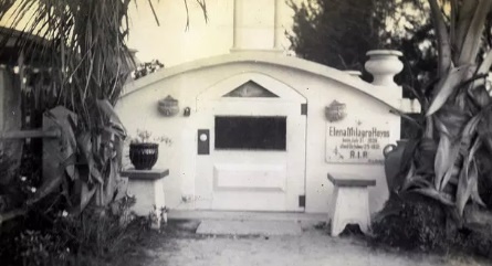 Bac si thien tai trom mo nguoi tinh anh 6