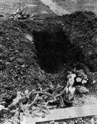 Vua hề Sác Lô ảnh 4 Vua he Sac Lo anh 4