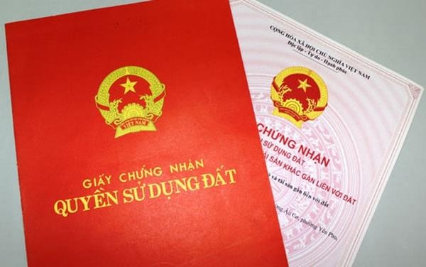 Chieu day bo me ra duong cua cau quy tu hinh anh