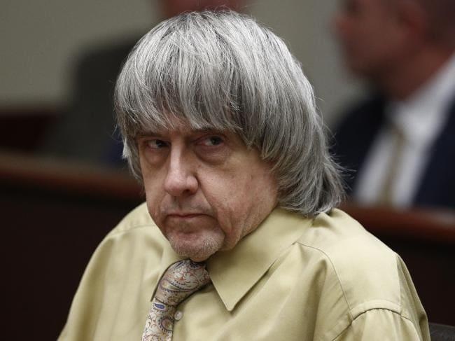 Giam cầm con ảnh 3 Giam cam con anh 3