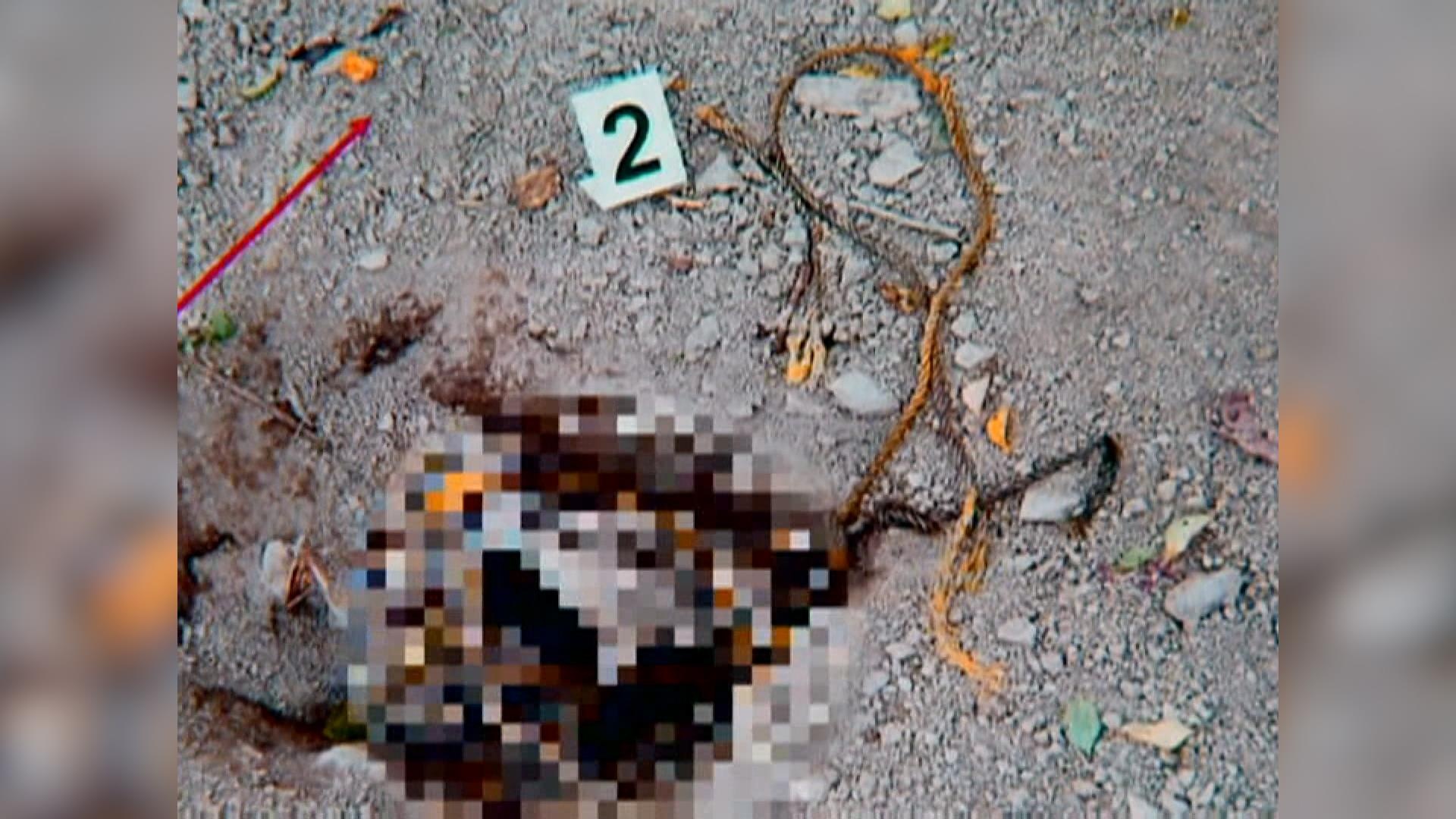 Manh moi pha vu an anh 1