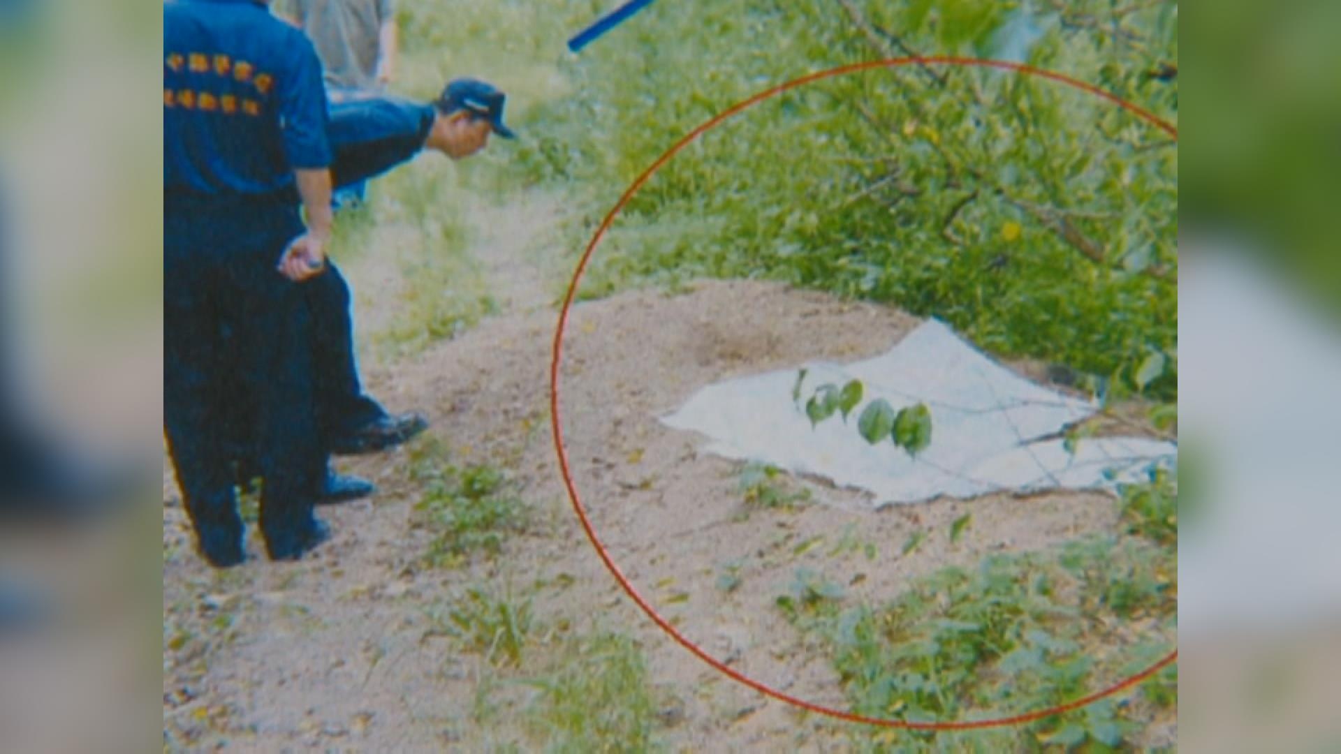 Manh moi pha vu an anh 3