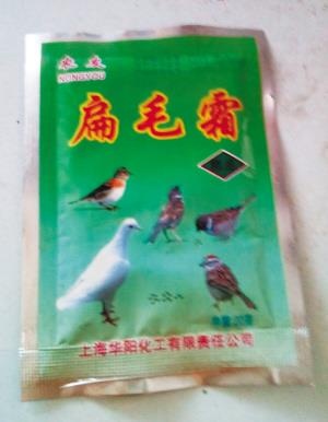 Chồng hạ độc vợ ảnh 2 Chong ha doc vo anh 2