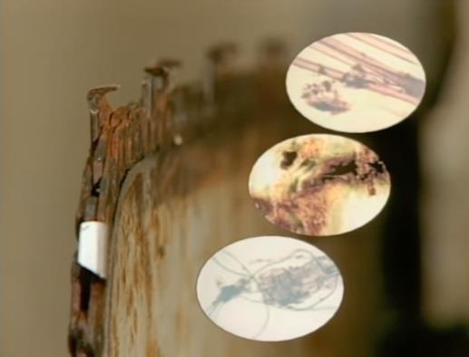 nu tiep vien hang khong mat tich anh 9