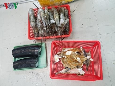 nga voi doi lot tom hum anh 1